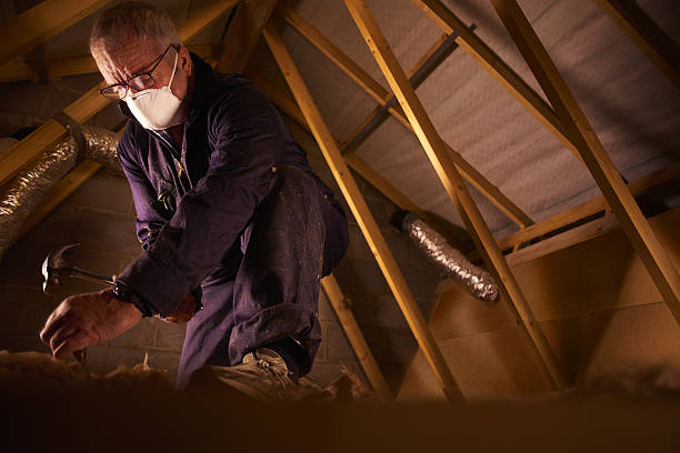 Best Residential Insulation in New Eagle, PA
